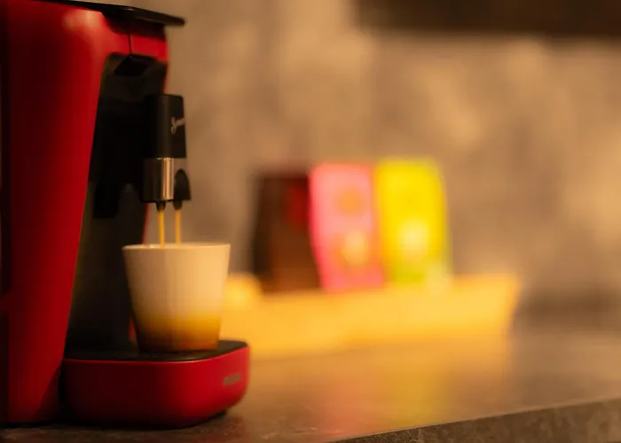 Capsule Penthouse Centre * Mons